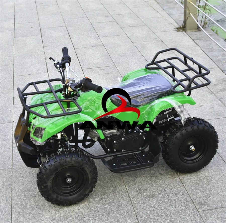 Petrol Powered Polaris Sport ATV 110CC Quad Bike with 6 inch Wheel