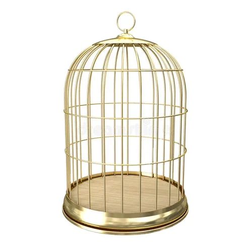 Оптовая продажа, алюминиевая металлическая клетка для попугаев из нержавеющей стали под заказ