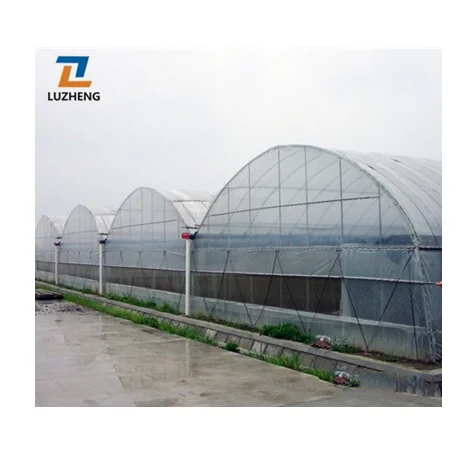 Commercial Plastic Film Multi-Span Greenhouse with Automatic Irrigation System for Vegetable/Flower/Fruits
