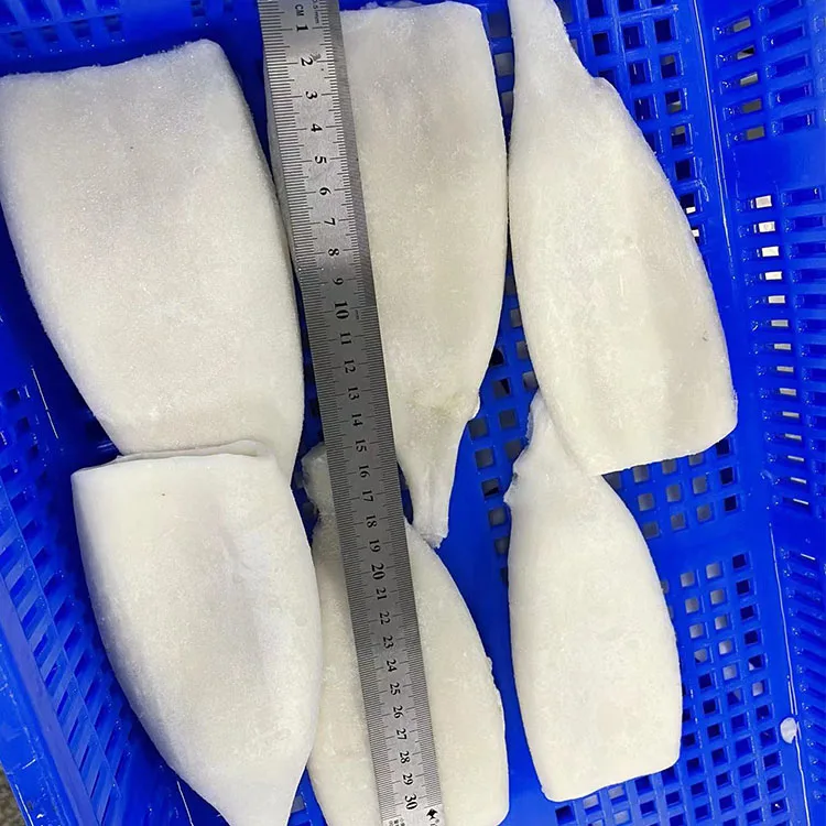 Hot Sale Fresh Frozen Squid from China at Competitive Price Nutritious Squid with CE EU Certificate Squid for USA Bag Block