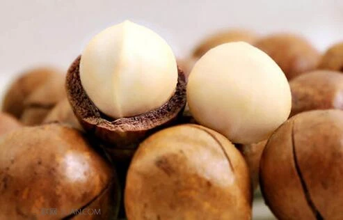 Натуральные осажденные и обработанные орехи макадамии со сладким вкусом, в упаковках или в пакетах, для продажи, необработанные органические жареные орехи макадамии