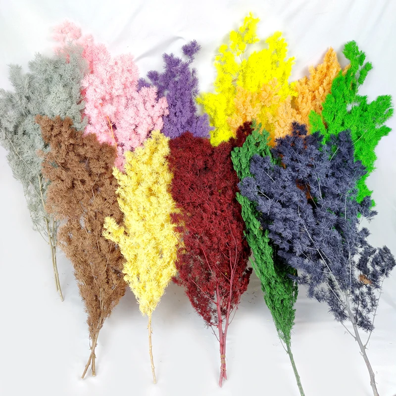 Christmas Decoration Dried Flowers Power Asparagus Green Preserved Ming Fern Asparagus Flower For Floral Wedding Home Decor