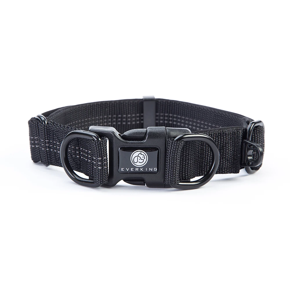 R Strong nylon collar fashion Personalized Logo outdoor dog collar washable