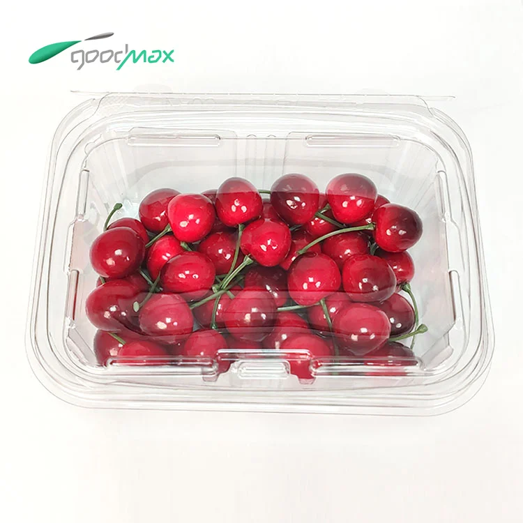 Food-Grade PET Plastic Disposable Rectangular Blister Packaging Box Clear Fruit Vegetable Salad Food Container