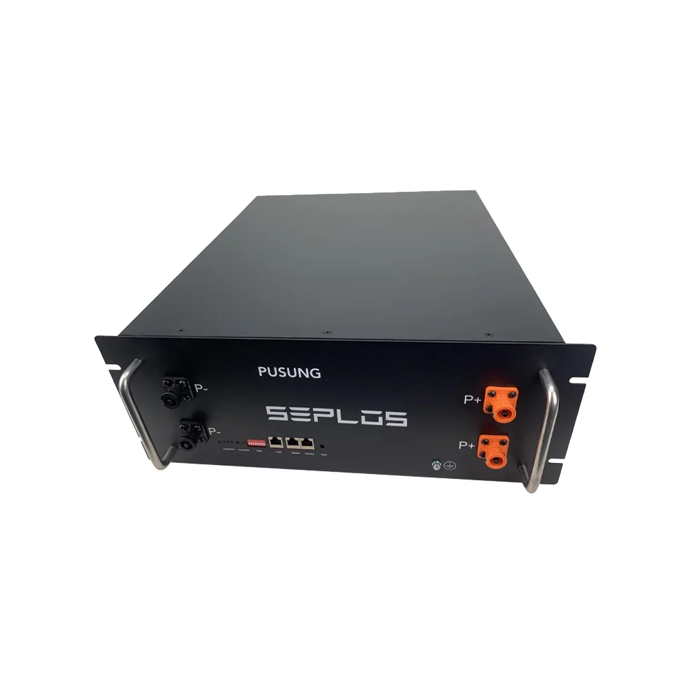 TUV certification Seplos PUSUNG-R 48V 100Ah Lifepo4 5kwh 10kwh 20kwh 30kwh Lithium Rack Mounted Solar