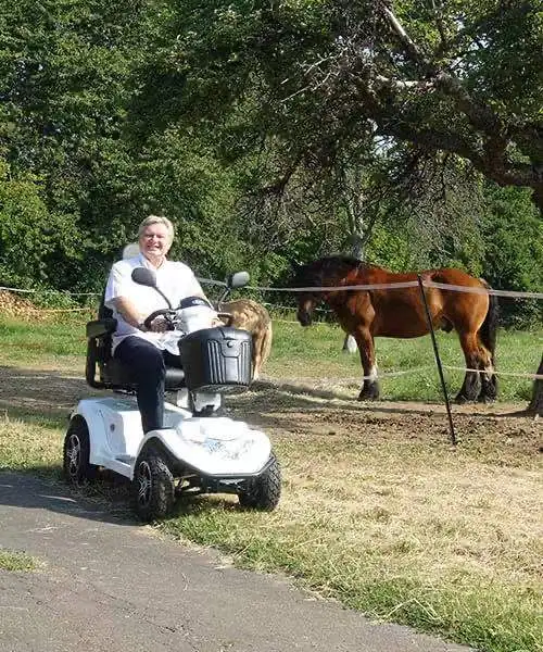 Out Door Mobility Scooter Large Size Mobility Scooter Ruidi R8-S Rice Motorcycle Accessories Ce Monopattino 24V CN;ZHE