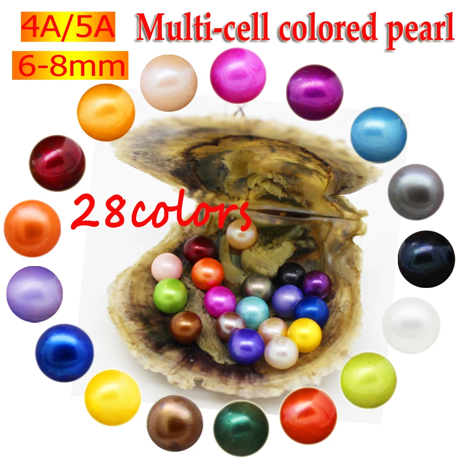 Real 5A Akoya oyster with pearl freshwater cultured round pearl beads, 1 complimentary gift (7-8 mm)