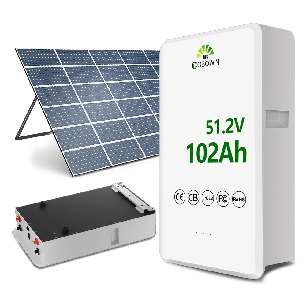 5KWh 10KWh 48v200ah 100ah Powerwall 24v system lithium ion battery wall mounted lithium battery with bms