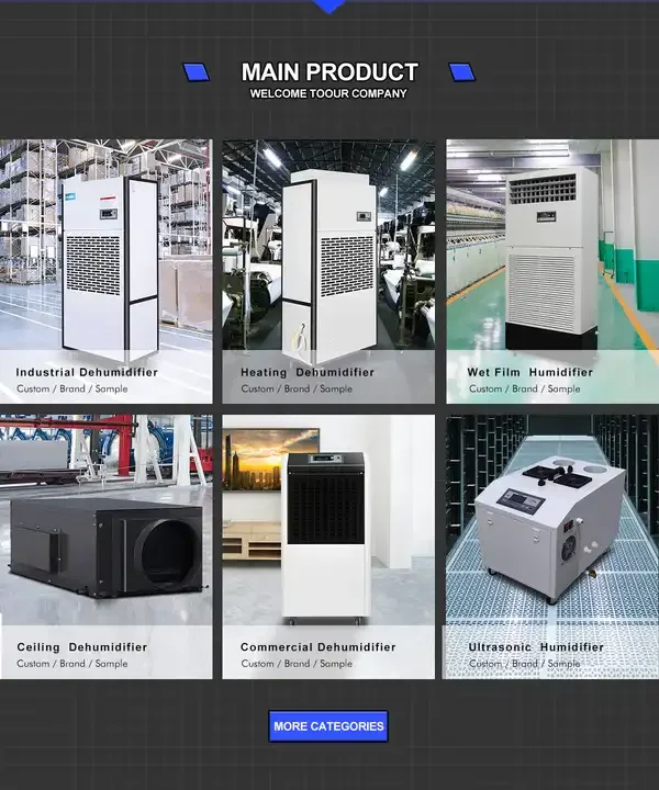 2024 Customized Mini Home Dehumidifier Adjustable Humidistat Ce Certified for Household Ceiling Dehumidification Dryer