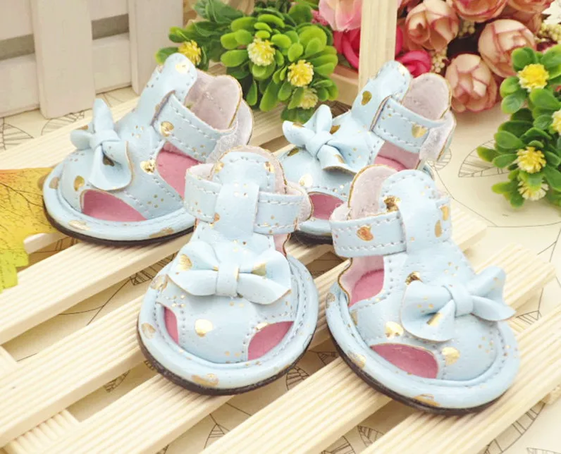 Pet Shoe5.jpg
