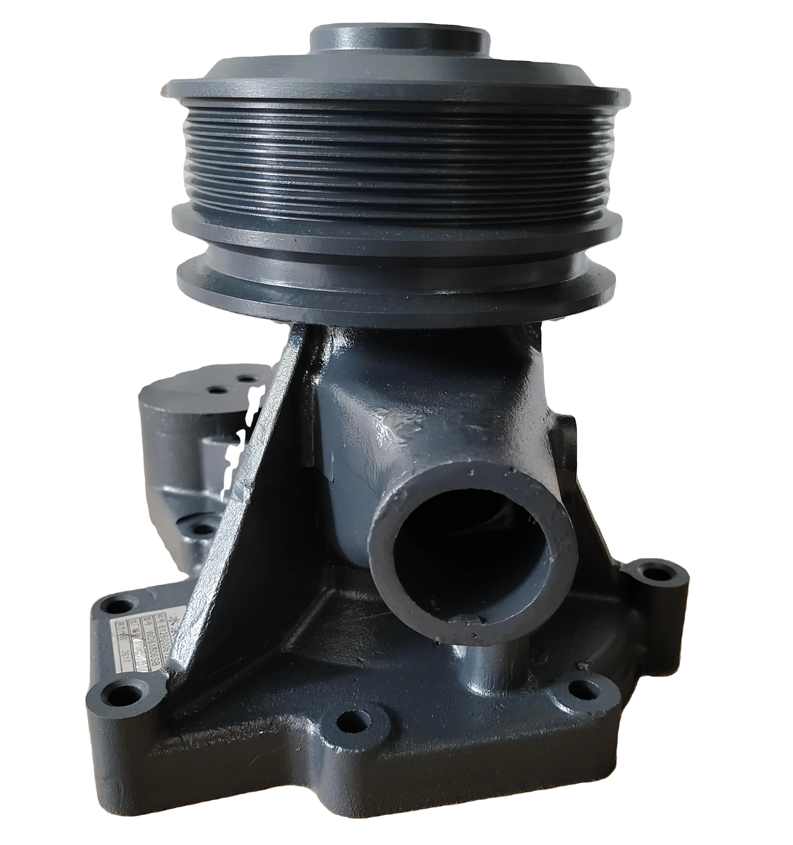 Truck Parts WP10 Diesel Engine Parts 612600061296 Water Pump for Weichai