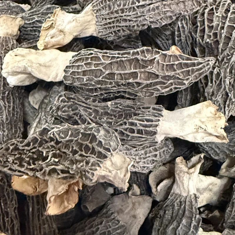 High Grade Small Size Morel Mushroom Healthy Vegetable Dried Morels