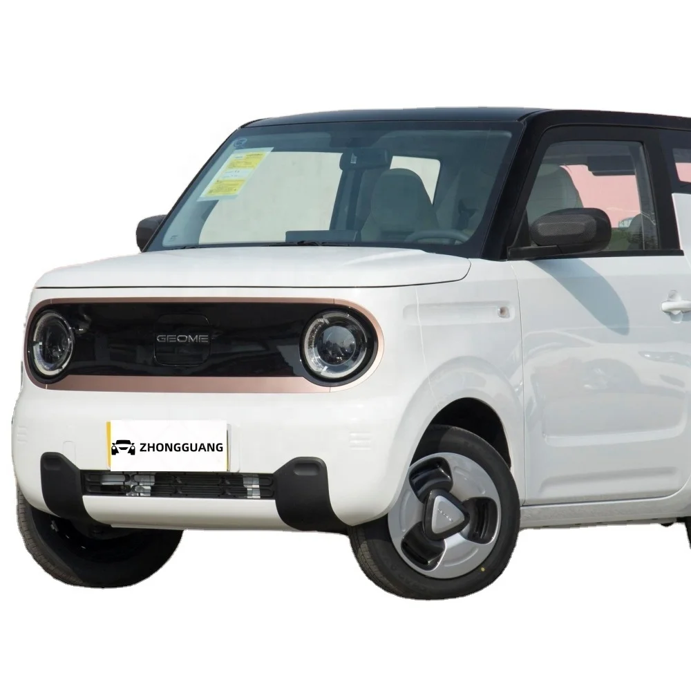 Быстрая зарядка новый электрический автомобиль Geely panda новая энергия маленький мини-автомобиль ev максимальная скорость 100 км/ч