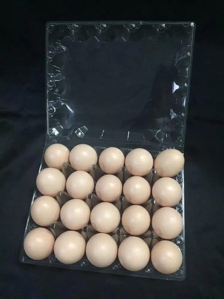 20 eggs transparent chicken egg tray