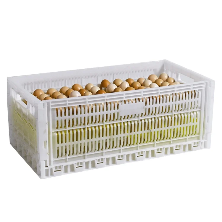 White Plastic Collapsible Foldable Egg Crate Transportation Poultry For