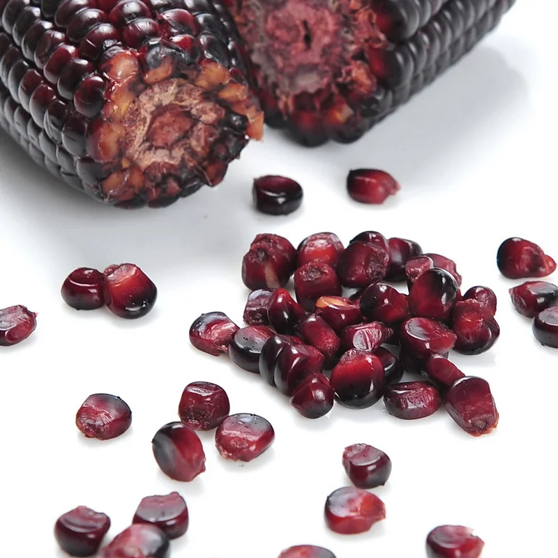 Sweet seasoned purple corn good price for corn oil