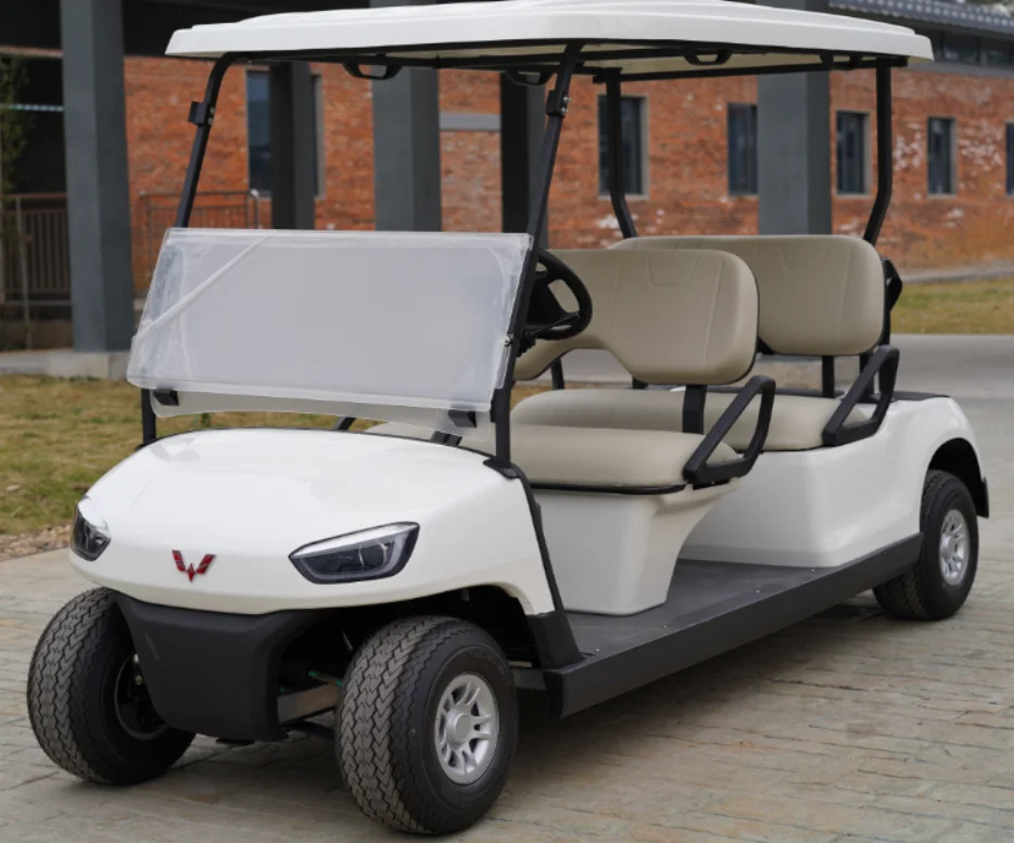 Buggy/Golf Carts Sightseeing Car 6 Seaters Electric Sightseeing Buggy