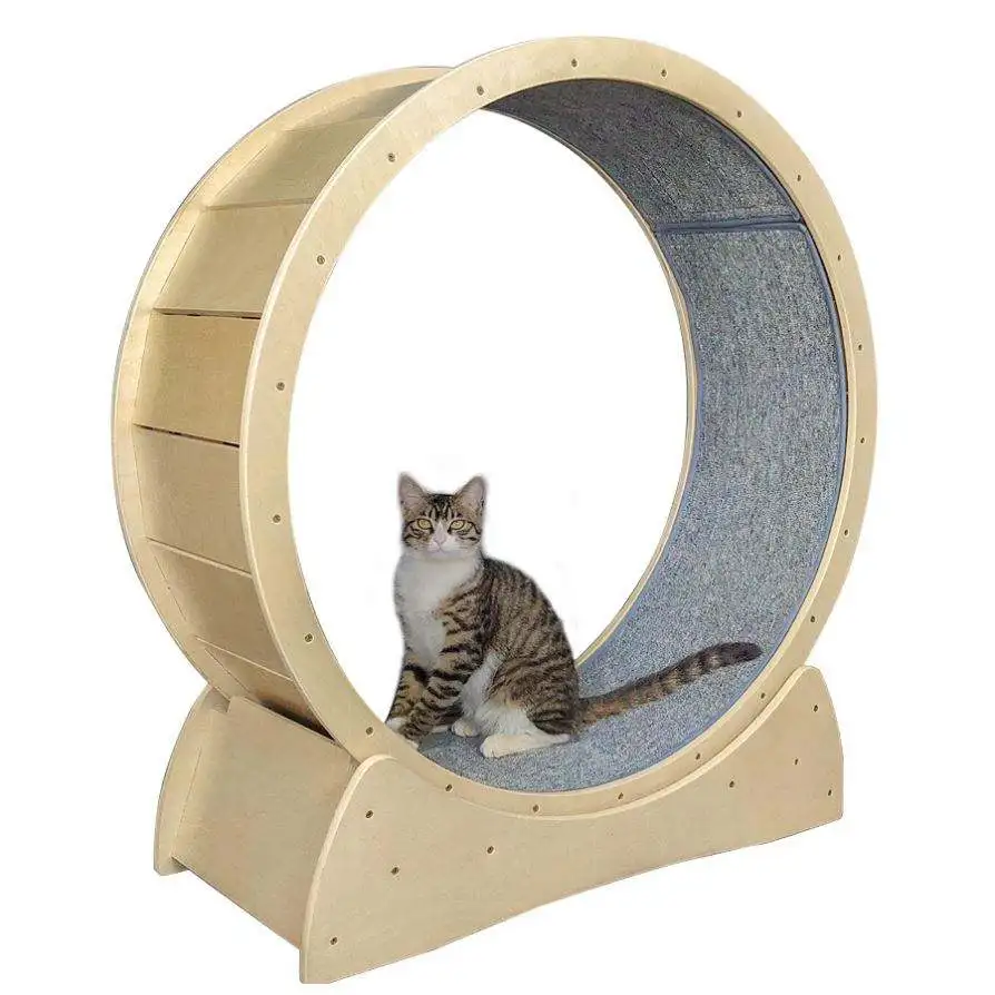 Wholesale Anti-depression Pure Wood Wooden Pet Tread Exercise Wheel Cat Pet Dog Fun Toy Treadmill