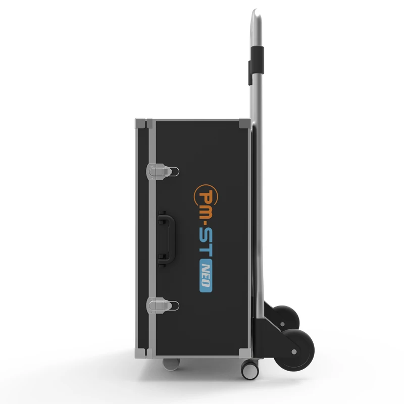 Multifunctional pmst magnetotherapy for horse arthritis treatment electromagnetic pmst neo pulse machine