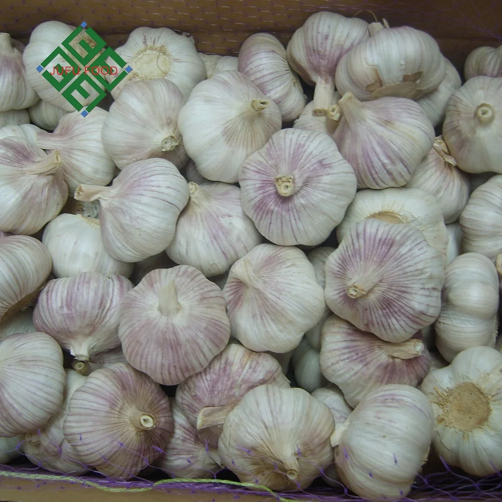 Garlic fresh pure white red garlic