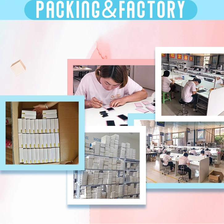 Qeelasee multi packaging korea pbt private label silk eyelash extensions