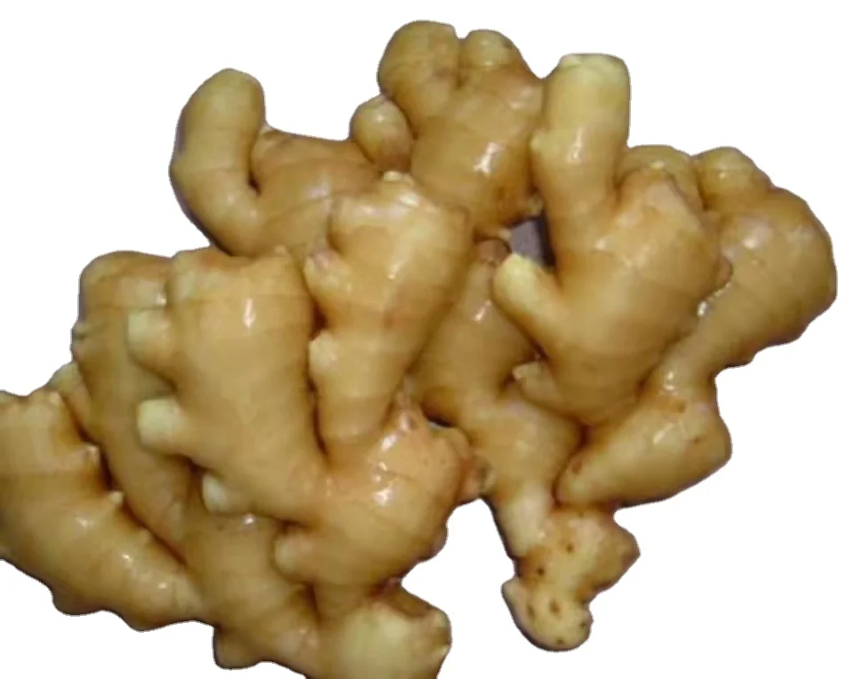 hot sale Chinese fresh ginger water washed fresh ginger factory price fresh ginger