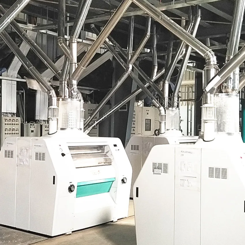 precooked corn flour mill machine flaking mill with prices in Venezuela Zambia America