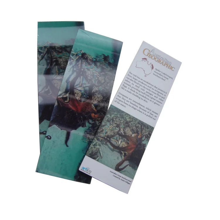 Новейшая наклейка для открыток с 3D-эффектом, лист с животными и линзой