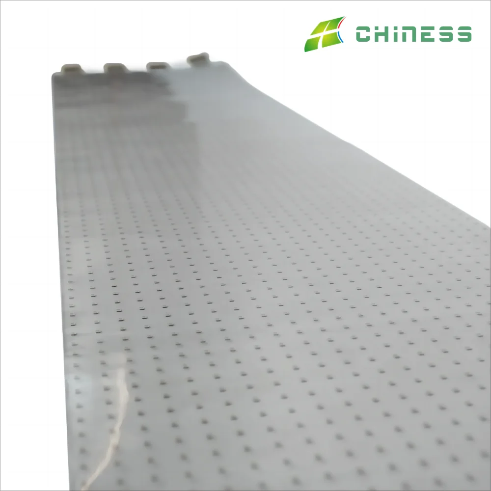 CNS-P-P6  Rolled-up Transparent LED Display Advertising Transparent Screen LED Transparent Display for Showroom