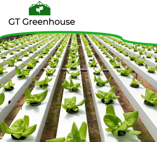  Теплица системы Aquaponic для