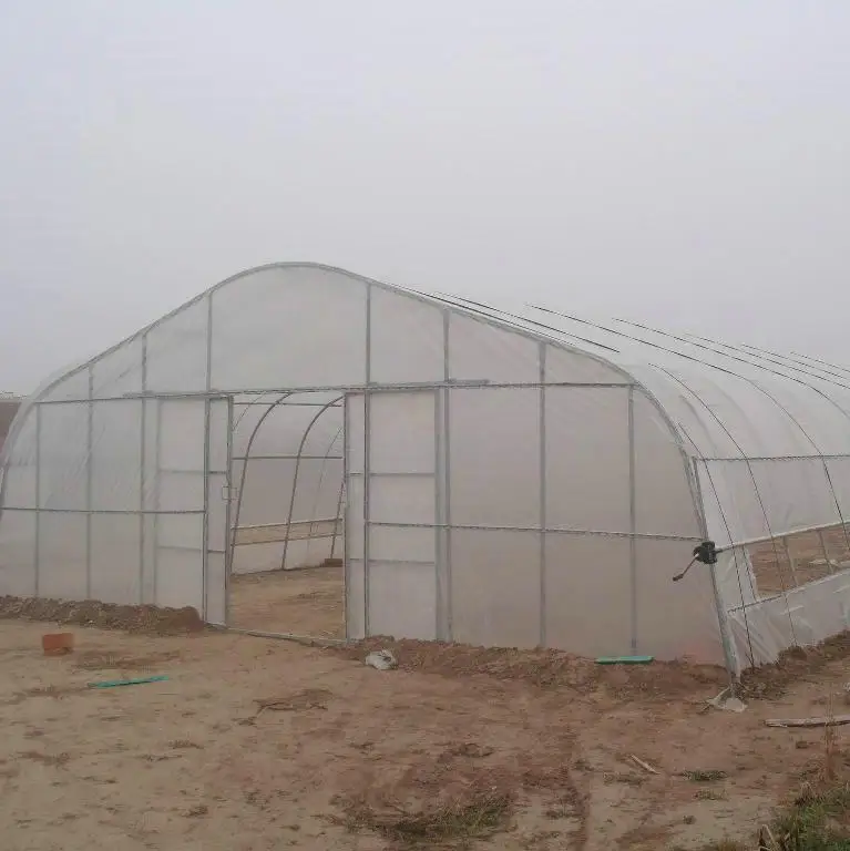 100 meters length strawberry tropical greenhouse for sale