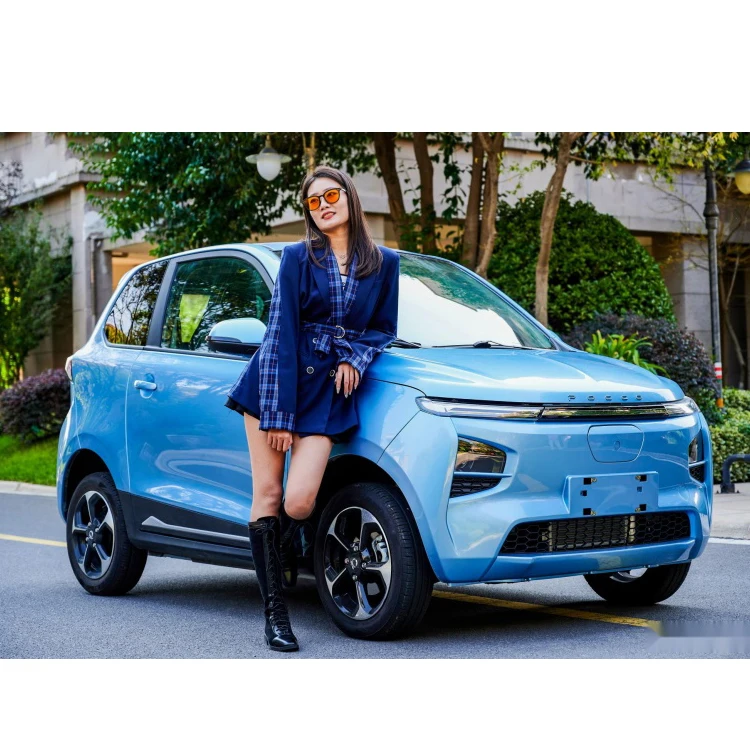 Four Wheeled High Speed Electric Car For Adults Five Colors 766L Capacity Large Size With Air Conditioning