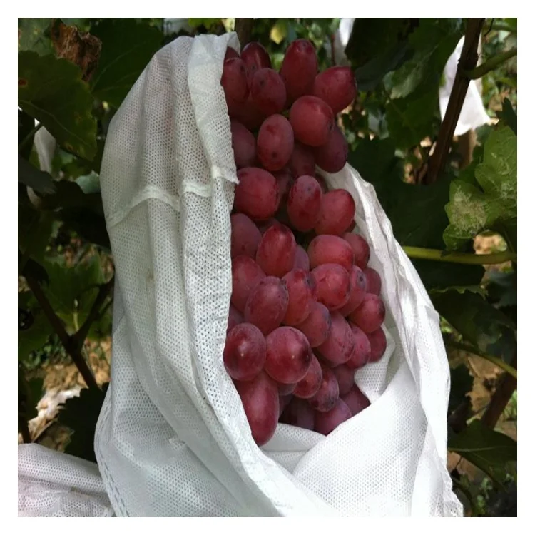 Wholesale Agriculture Garden pp spunbond nonwoven fabric for banana bag reusable eco friendly bags