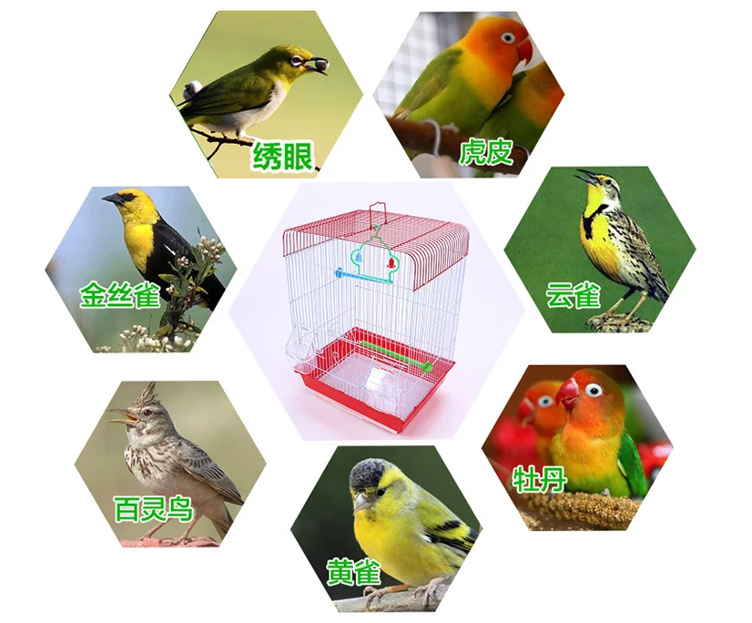 Cheap fancy canary wholesale big bird breeding cage for sale