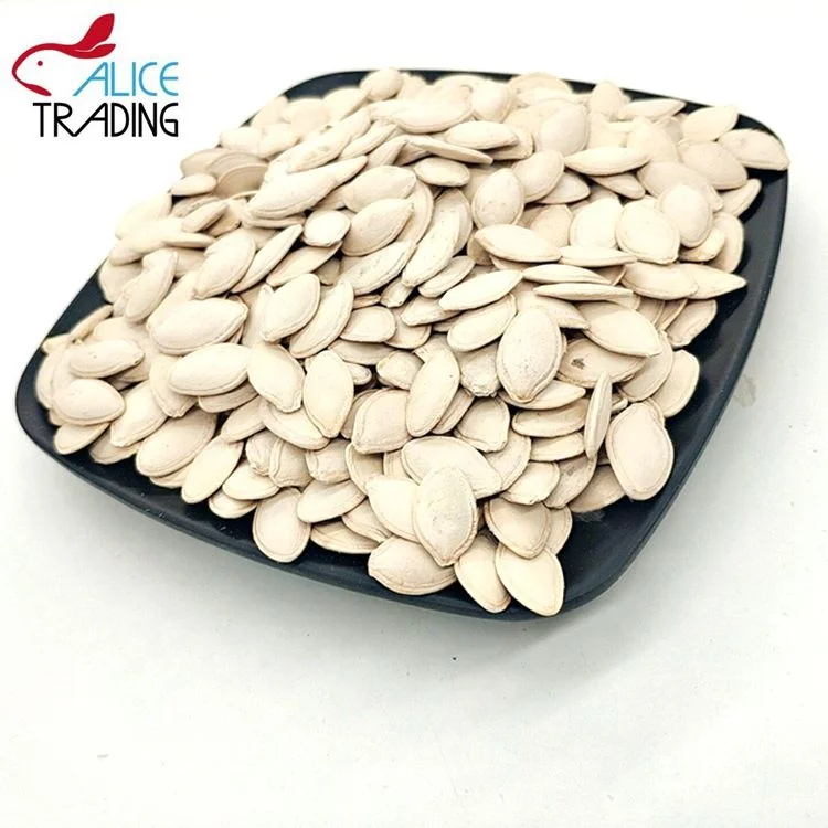 
Chinese Factory Direct Wholesale Shine Skin Pumpkin Seeds 