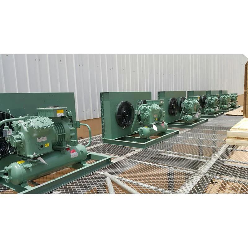 R404A 2P 3P 4P 5P Compressor Air Cooled Condensing Unit for Cold Freezer Room