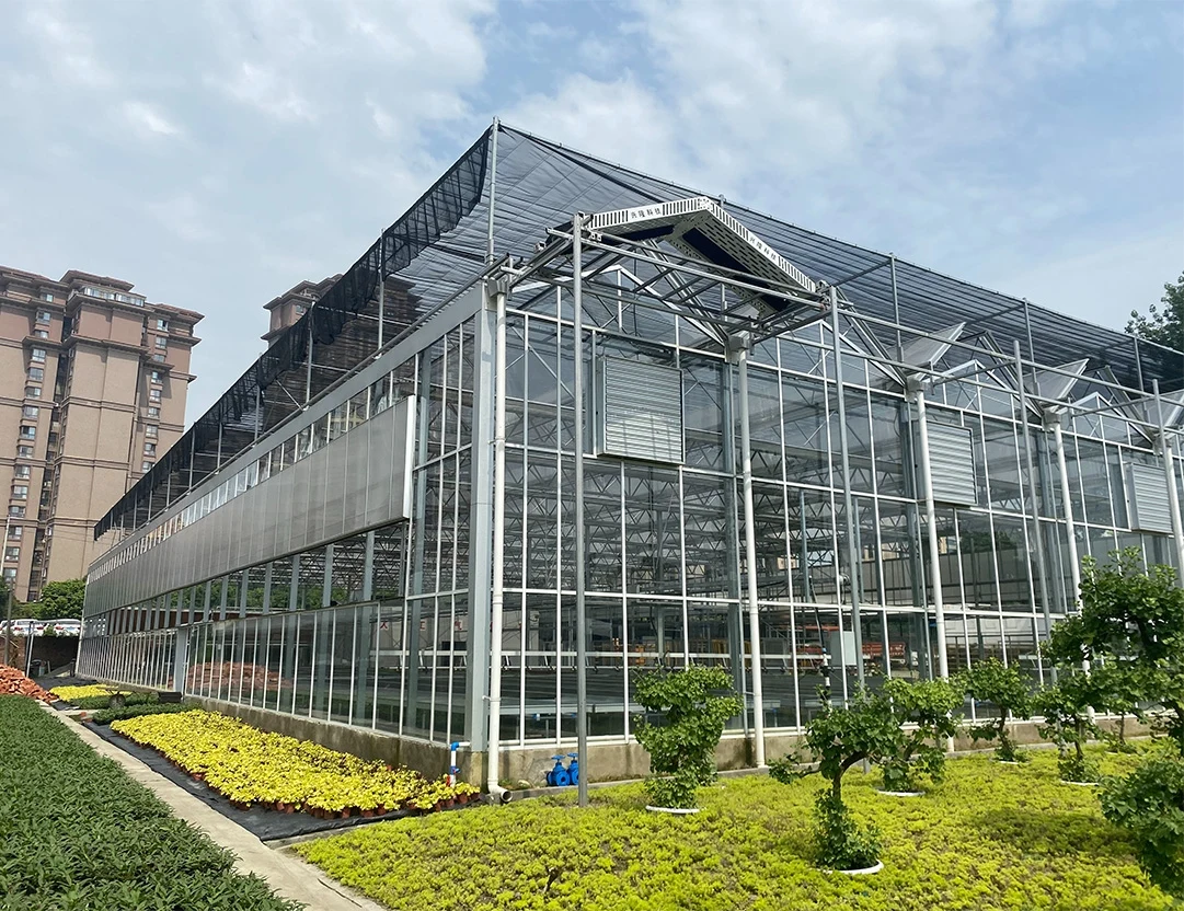 Venlo Commercial Agricultural High efficient venlo cheap intelligent agriculture multi-span glass hydroponic greenhouse