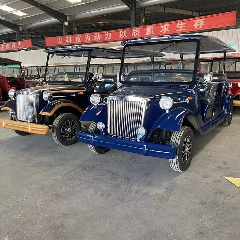 Mini Golf Buggy China Golf Buggy Scooter Electric Golf Cart 2 Seats Cargo Box