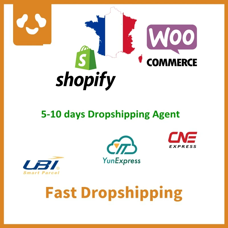 Fast Shipping Shopify Aliexpress Fournisseur Dropshipping France