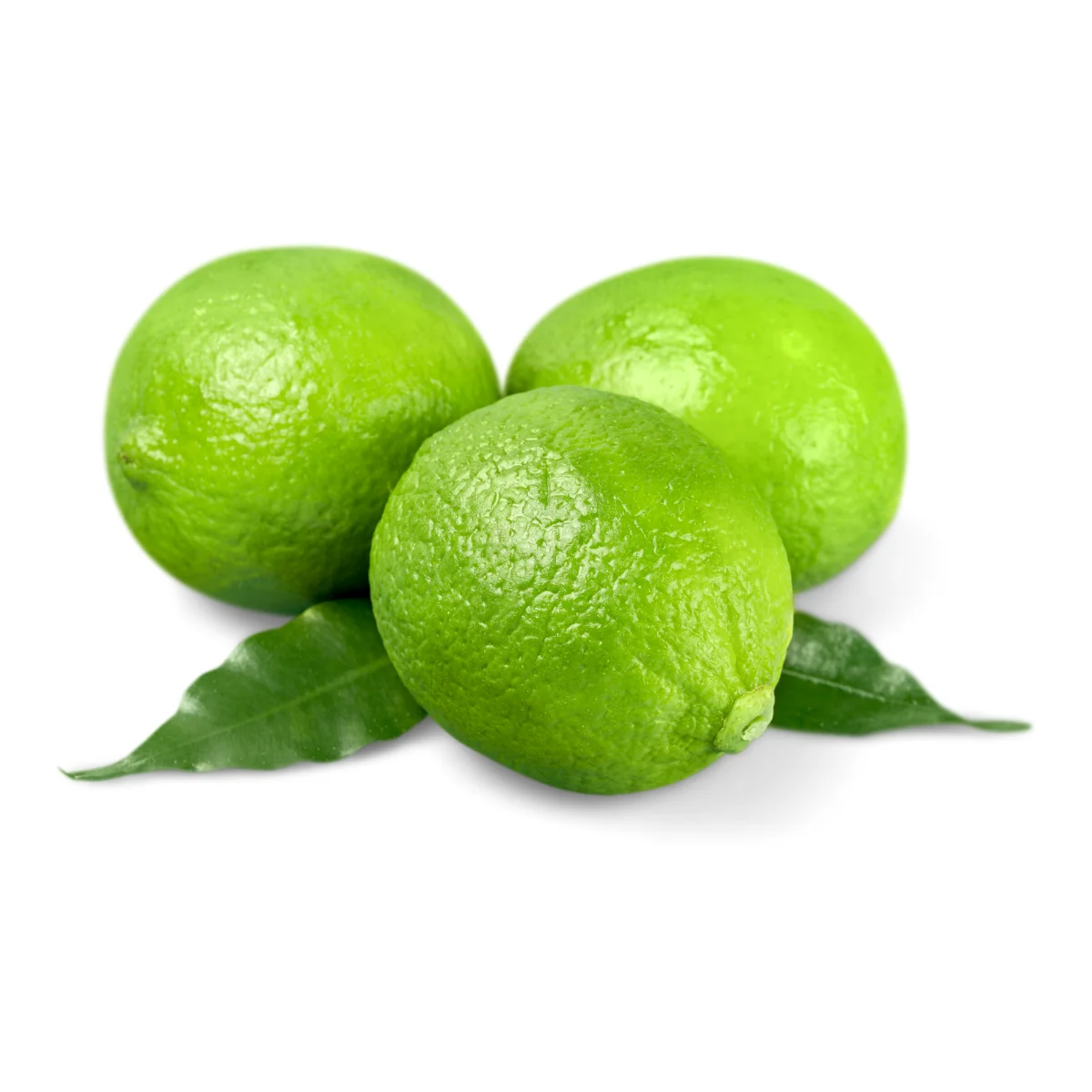 Wholesale High Quality 100% Natural Sour Fresh Seedless Lime Lemon Rich In Nutrients From Vietnamese Manufacturer
