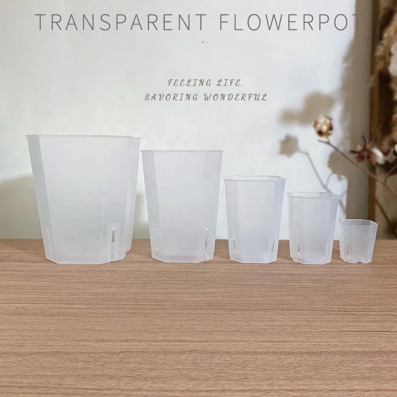 garden supplies cheap plastic gardening clear transparent pot root square octagonal pot orchides 12cm orchid pot plant