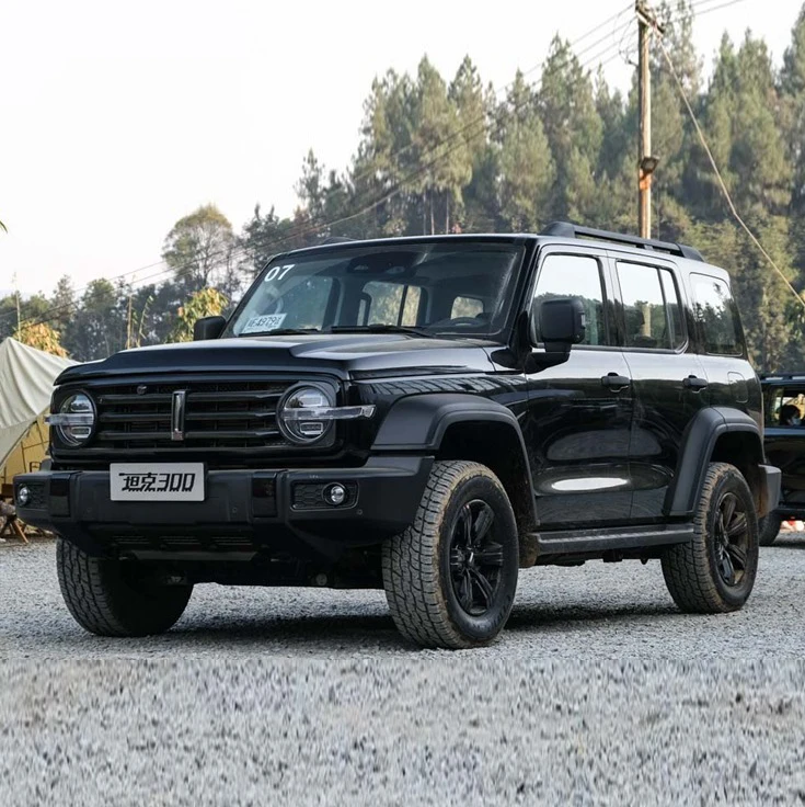 Cool appearance,high-performance Five door five seater SUV 2.0T fuel powered vehicle