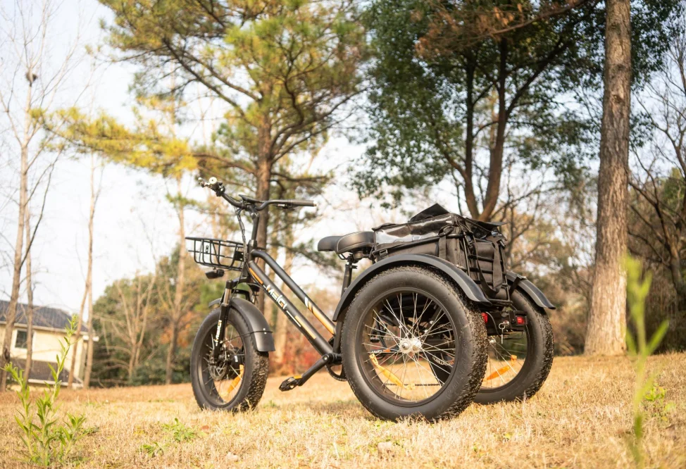48V 18.2Ah литиевая батарея E трехколесного велосипеда BAFANG 750 Вт электрических трехколесных велосипедов Жира Шины трехколесный велосипед 3-х колёсный электровелосипед на складе