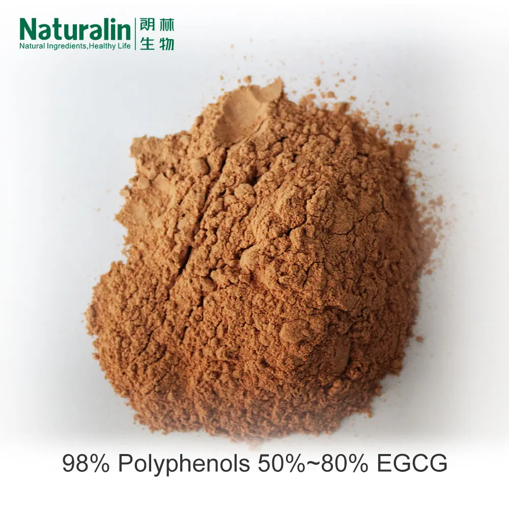 Naturalin Hot Sale Low Price Extract Camellia sinensis (L.) Kuntze  98%polyphenols-80%-50% Green Tea Instant Powder