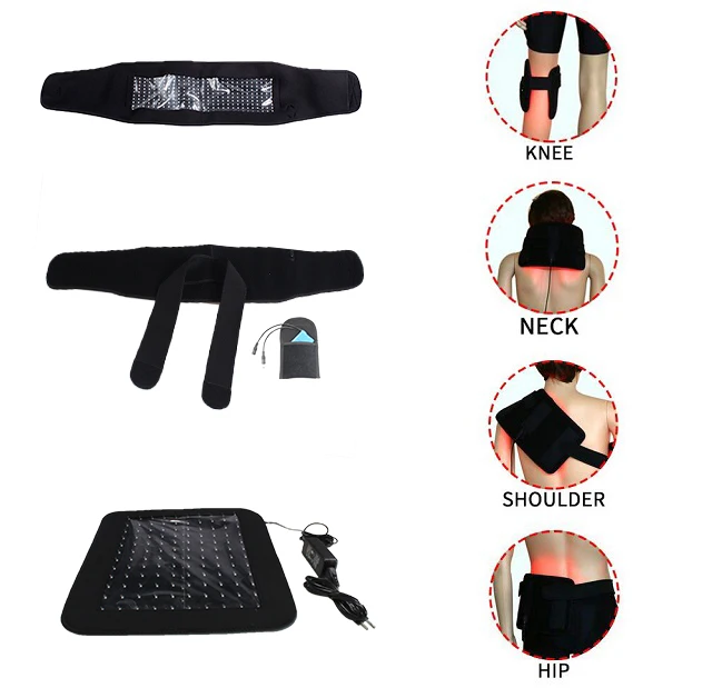 Sphynx cat hairless Sphynx cat Canada Bald cat pet supplies led lamp