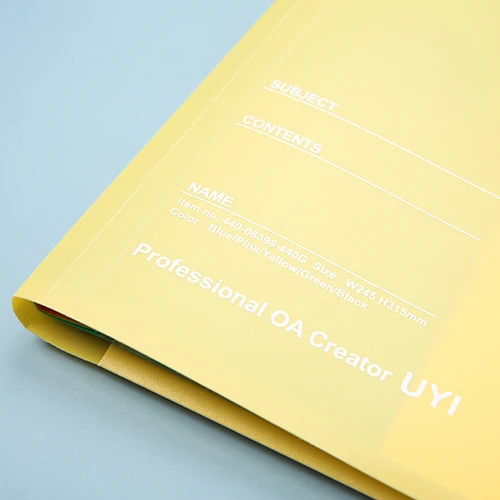 Professional Manufacturer Wholesale Large Capacity Plastic Expansion Folder Color Label Paging Folder with 6 tabs rainbow pages
