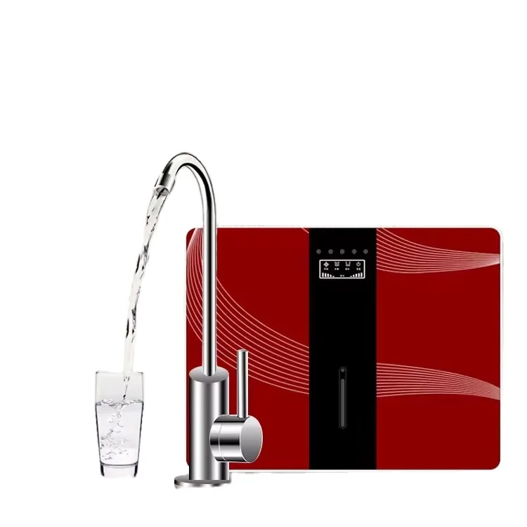 Countertop Hot and Cold Filtered Water Dispenser 100G 5 stages Reverse Osmosis Water purifier