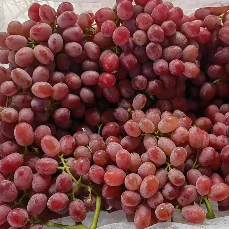 Хорошая ферма, свежие фрукты, виноград в продаже, сладкий красный виноград, замшевый малиновый виноград