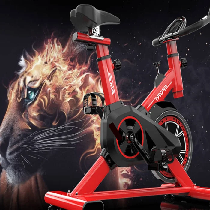 Sunny Health Endurance Magnetic Belt Drive Cycling Exercise Bike Stationary Upright Spinning Bike