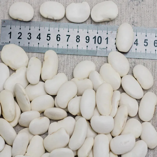 
factory large Yunnan dried white/red kidney beans 